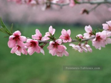 Fleurs réalistes œuvres - rps051 personnalisée photo fleur